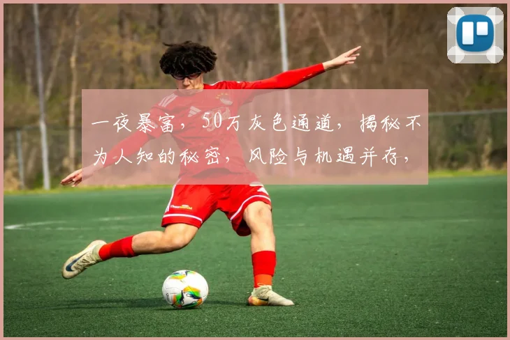 一夜暴富，50万灰色通道，揭秘不为人知的秘密，风险与机遇并存，你敢尝试吗