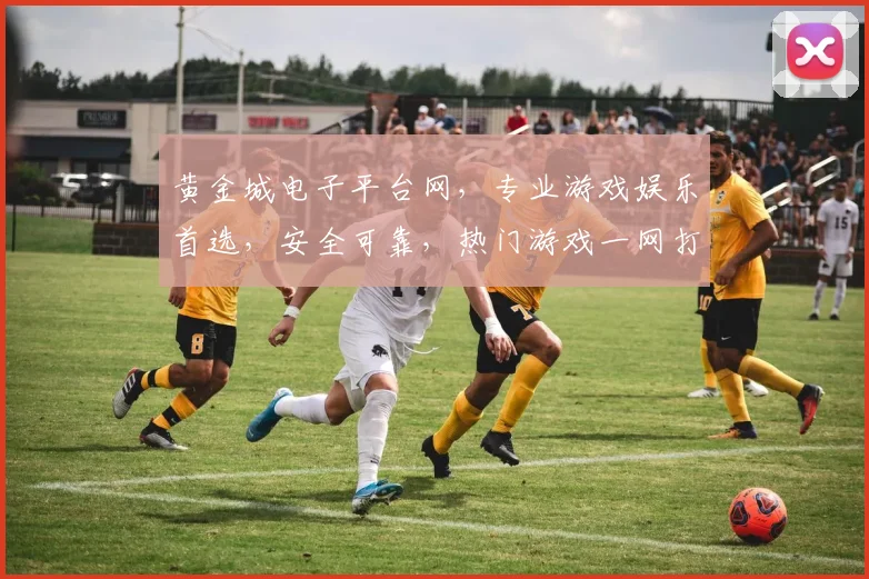 黄金城电子平台网，专业游戏娱乐首选，安全可靠，热门游戏一网打尽，尽享乐趣