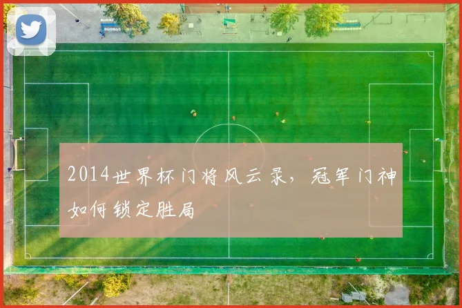 2014世界杯门将风云录，冠军门神如何锁定胜局